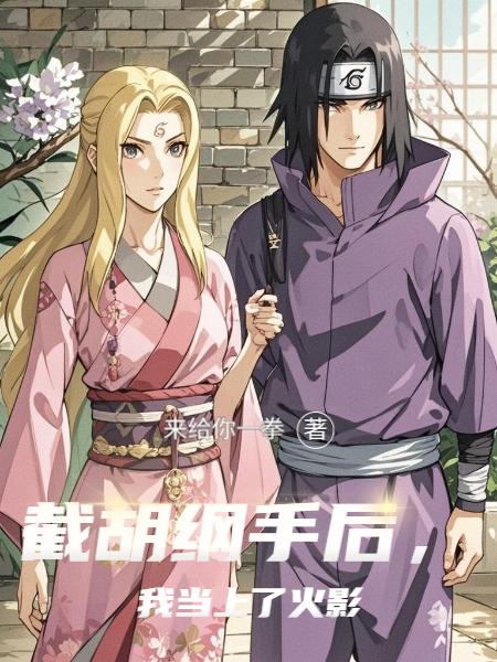 截胡纲手后,我当上了火影