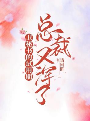卫秘书的试用期总裁又浑了
