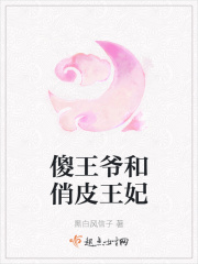 傻王爷和俏皮王妃