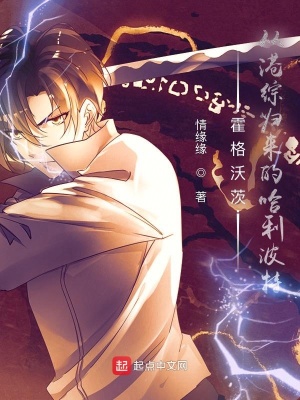 霍格沃茨:从港综归来的哈利波特